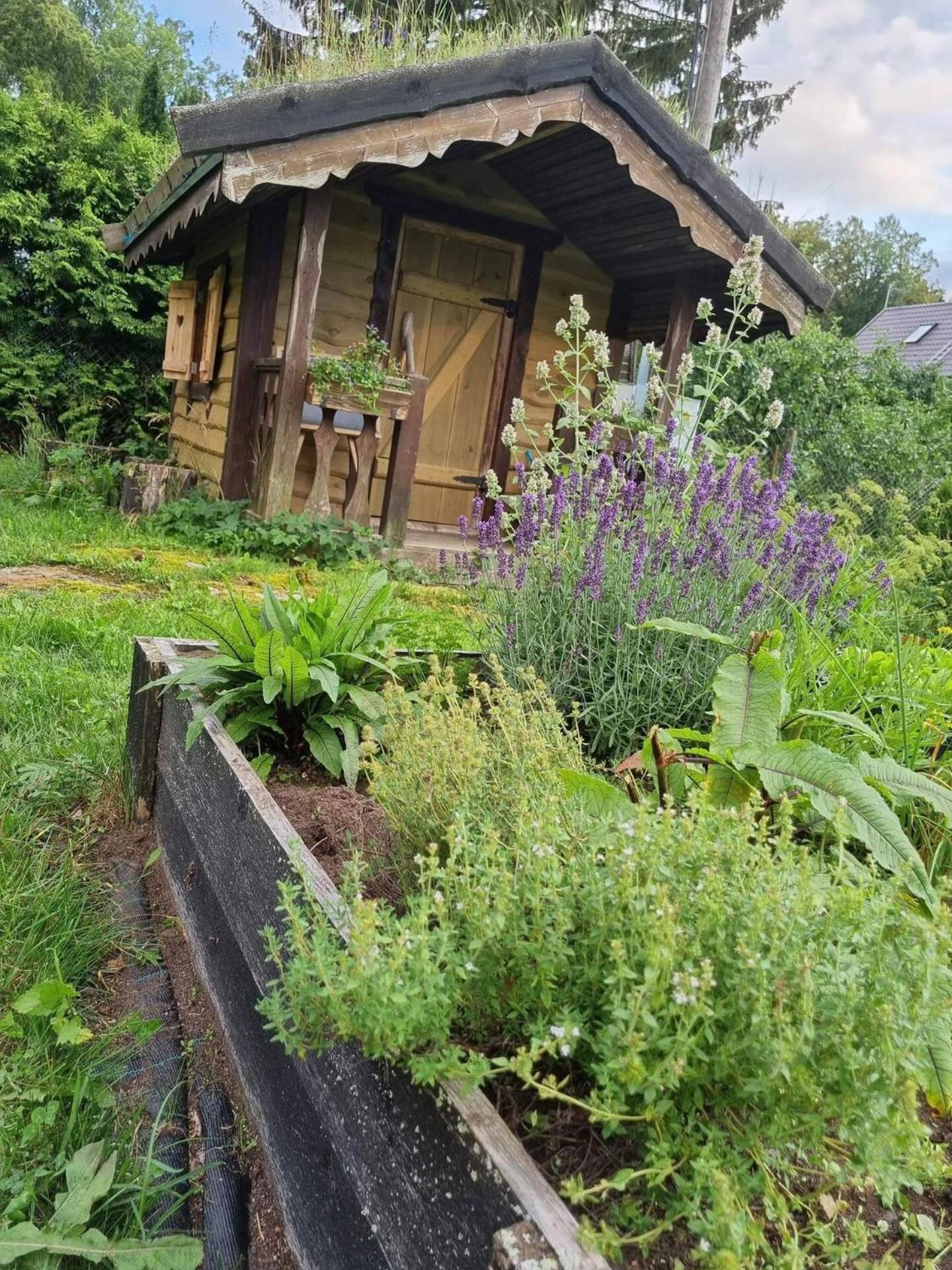 Haapse Norwegian Saunahouse מראה חיצוני תמונה