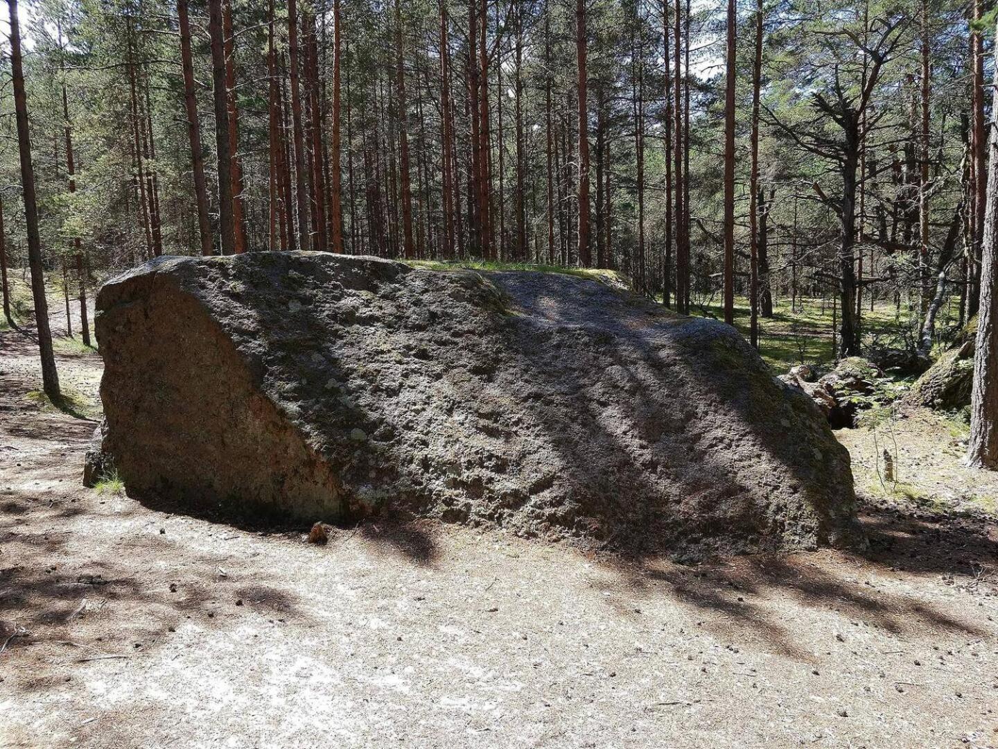 Haapse Norwegian Saunahouse מראה חיצוני תמונה